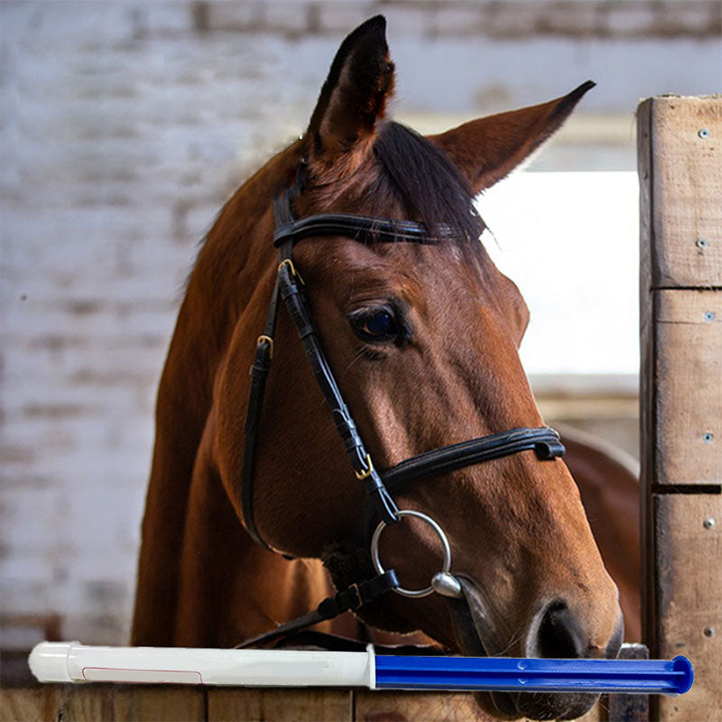 Horse Supplement Apple Flavored For Health